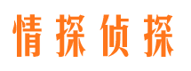 莆田市调查公司